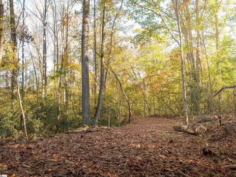00 Dice Miller Rd, Moore, SC 29369 photo 29