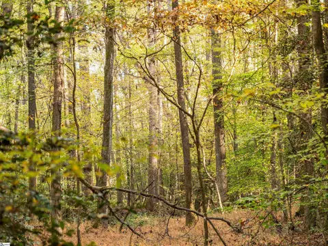 00 Dice Miller Rd, Moore, SC 29369 photo 21