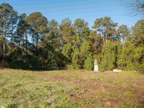 00 Dice Miller Rd, Moore, SC 29369 photo 23