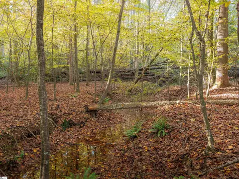 00 Dice Miller Rd, Moore, SC 29369 photo 6