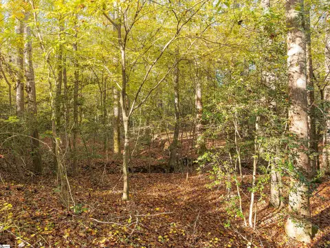 00 Dice Miller Rd, Moore, SC 29369 photo 28