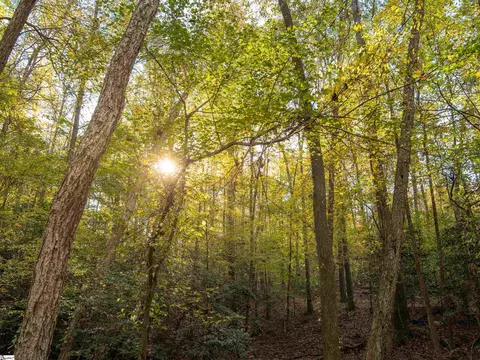 00 Dice Miller Rd, Moore, SC 29369 photo 20