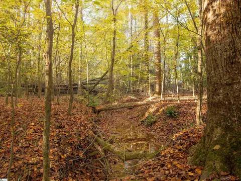 00 Dice Miller Rd, Moore, SC 29369 photo 15
