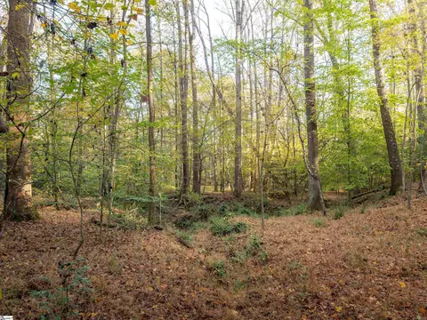 00 Dice Miller Rd, Moore, SC 29369 photo 8