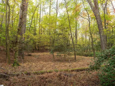 00 Dice Miller Rd, Moore, SC 29369 photo 26
