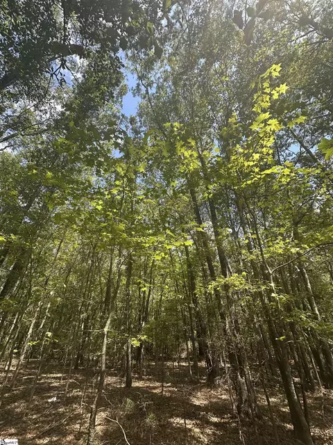 100 Watt Rogers Rd, Pelzer, SC 29669 photo 6