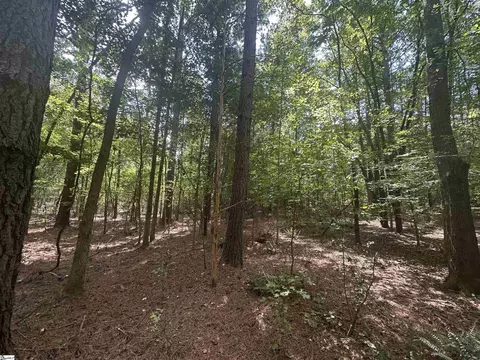 100 Watt Rogers Rd, Pelzer, SC 29669 photo 3