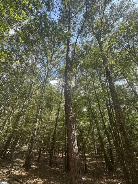 100 Watt Rogers Rd, Pelzer, SC 29669 photo 5