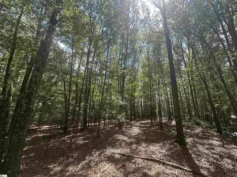 100 Watt Rogers Rd, Pelzer, SC 29669 photo 4