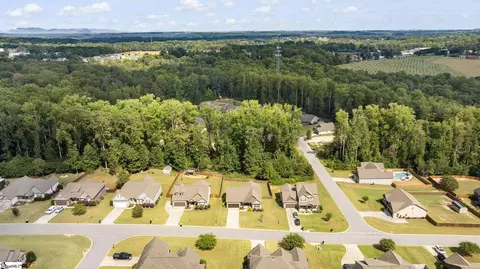 25 Woodhaven Way, Easley, SC 29642 photo 32