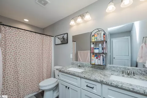 Bath - 293 Cecil Dr, Waterloo, SC 29384 photo 2 of 3