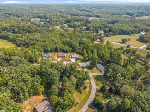 View/Area - 300 Brandon Ct, Easley, SC 29641 photo 2 of 3