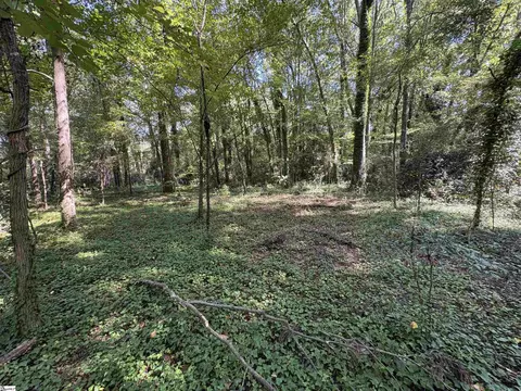 105 Downs St, Laurens, SC 29360 photo 13