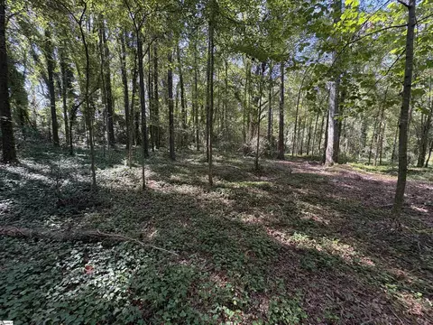 105 Downs St, Laurens, SC 29360 photo 4