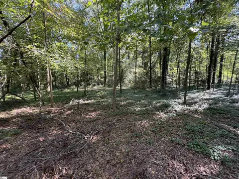 105 Downs St, Laurens, SC 29360 photo 11
