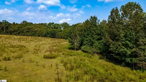 169 Cooley Bridge Rd, Pelzer, SC 29669 photo 4