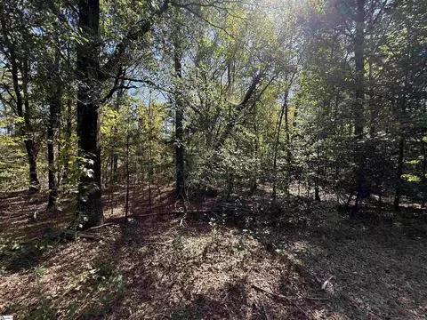 State Road, Roebuck, SC 29376 photo 3