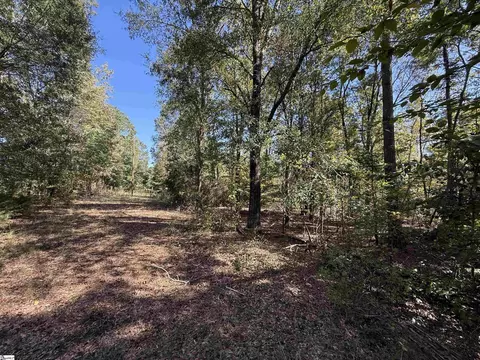 State Road, Roebuck, SC 29376 photo 2