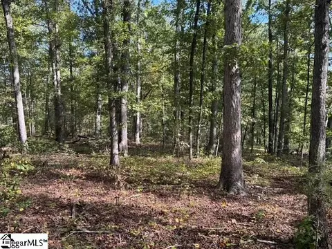 Walhalla Highway, Pickens, SC 29671 photo 8