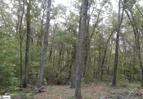 27 Northslope View Dr, Landrum, SC 29356