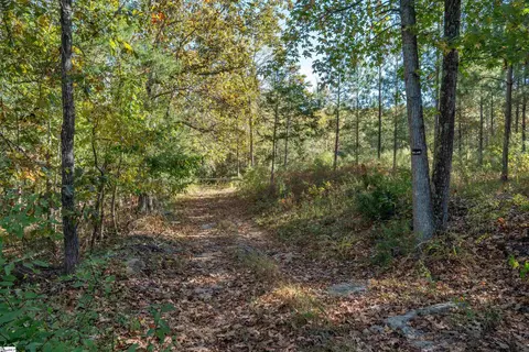 735 Gwinn Mill Rd, Pauline, SC 29374