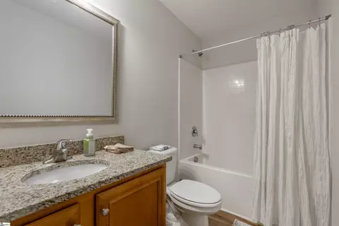419 Cedar Bluff Way, Mauldin, SC 29662 photo 17