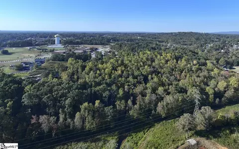 0 Chandler Rd, Greer, SC 29651 photo 12