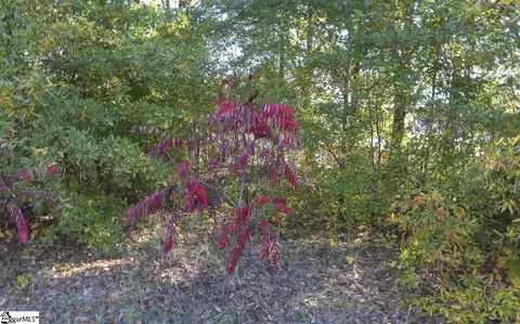 0 Chandler Rd, Greer, SC 29651 photo 5