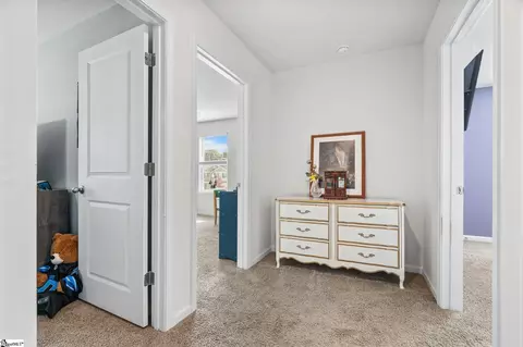 Entry Way - 1349 Ledsham Ct, Greer, SC 29651 photo 6 of 6