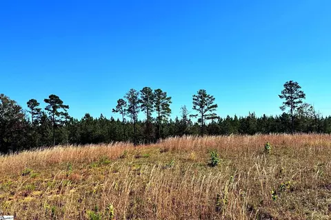 00 Riverfork Rd, Waterloo, SC 29384 photo 4