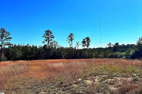 00 Riverfork Rd, Waterloo, SC 29384 photo 2