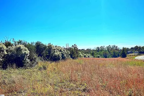 00 Riverfork Rd, Waterloo, SC 29384 photo 3
