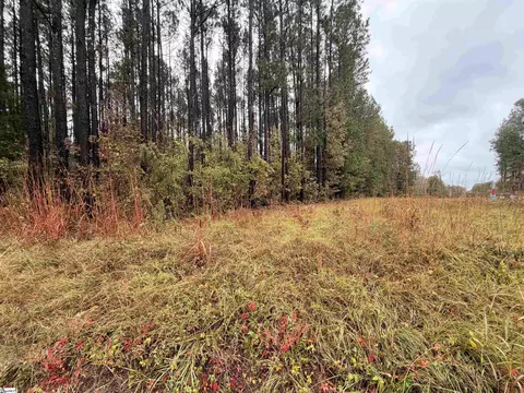 00 Beech Springs Rd, Pelzer, SC 29669 photo 3