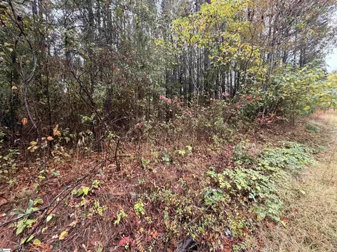 00 Beech Springs Rd, Pelzer, SC 29669 photo 5
