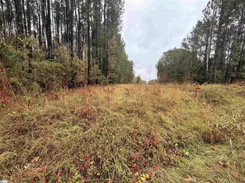 00 Beech Springs Rd, Pelzer, SC 29669 photo 6