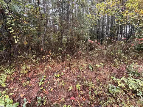 00 Beech Springs Rd, Pelzer, SC 29669 photo 4