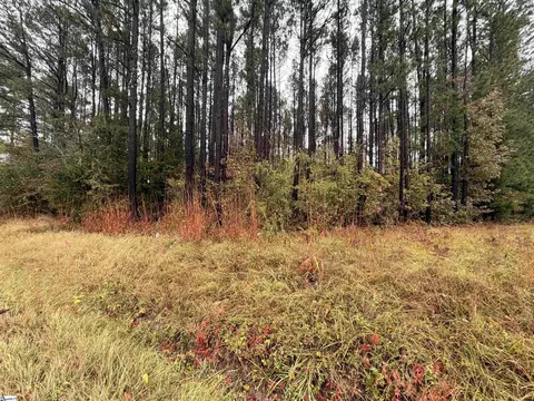 00 Beech Springs Rd, Pelzer, SC 29669 photo 2