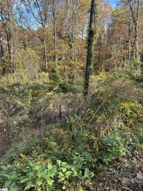 00 Altamont Rd, Greenville, SC 29609