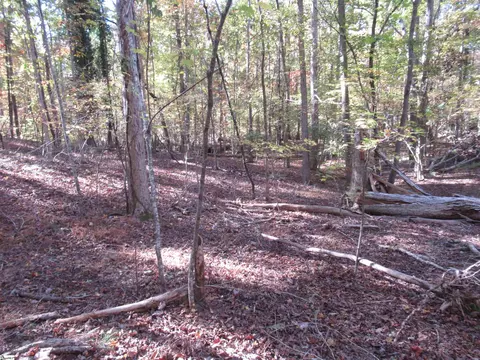 107 N Foxglove Rd, Westminster, SC 29693