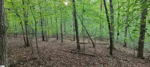 00 Point Rd, Westminster, SC 29693 photo 6