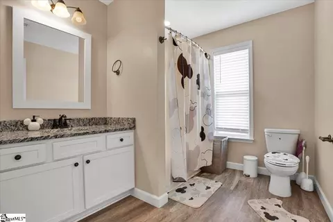 421 Willow Ct, Campobello, SC 29322 photo 24