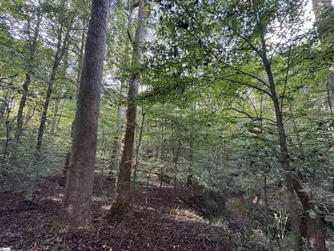 499 Acker Rd, Anderson, SC 29624 photo 8