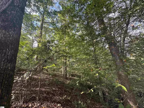 499 Acker Rd, Anderson, SC 29624 photo 3