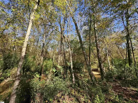 43 Joe Burton Rd, Honea Path, SC 29654 photo 30