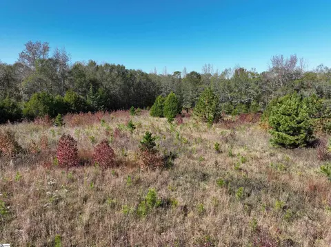 43 Joe Burton Rd, Honea Path, SC 29654 photo 4