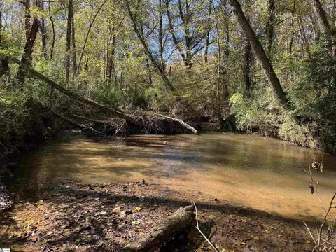 43 Joe Burton Rd, Honea Path, SC 29654 photo 36