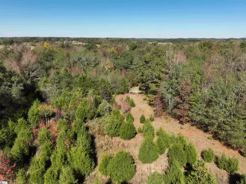 43 Joe Burton Rd, Honea Path, SC 29654 photo 11