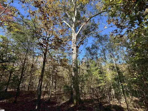 43 Joe Burton Rd, Honea Path, SC 29654 photo 29