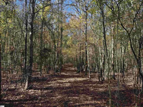43 Joe Burton Rd, Honea Path, SC 29654 photo 28