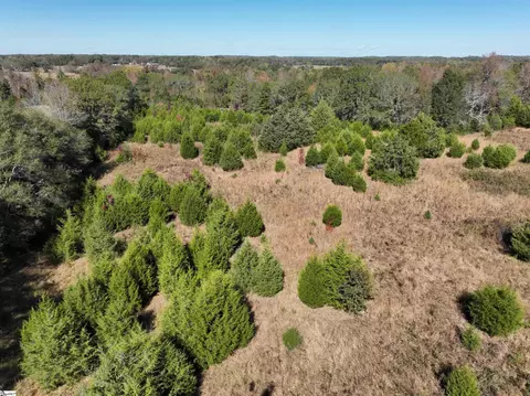 43 Joe Burton Rd, Honea Path, SC 29654 photo 9